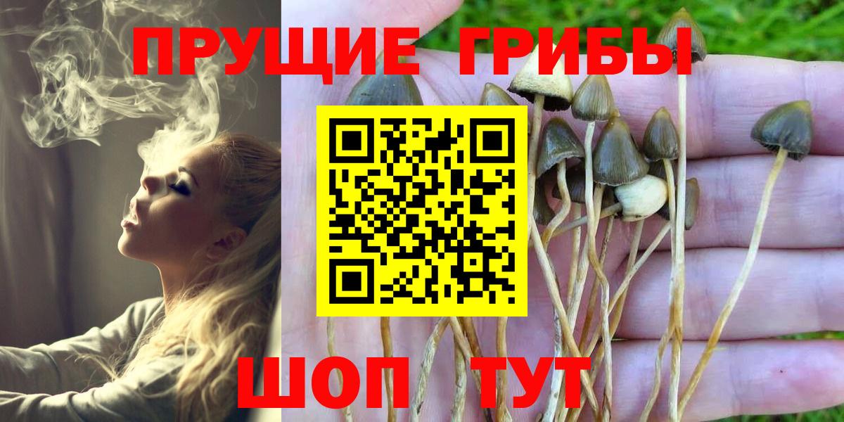 Учалы  Галлюциногенные грибы MAGIC MUSHROOMS  Вход с VPN 