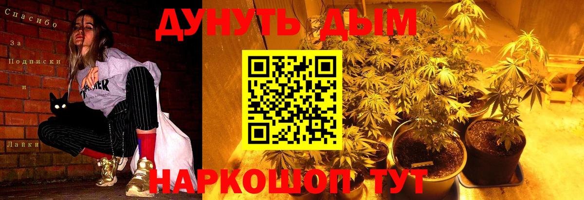 Канабис планчик Учалы